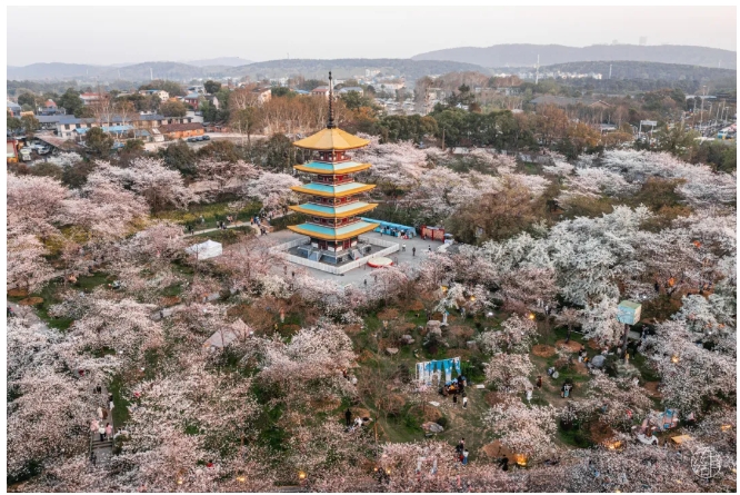 微信截图_20240325101317.png