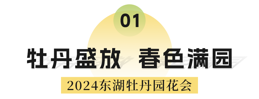 微信图片_20240402111101.png