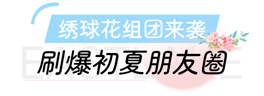 微信图片_20240508113027.png