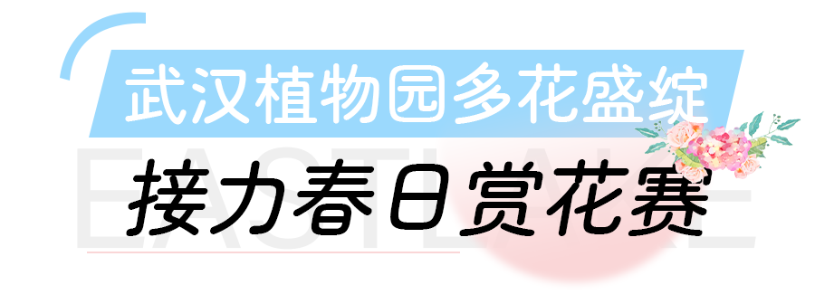 微信图片_20240508113052.png