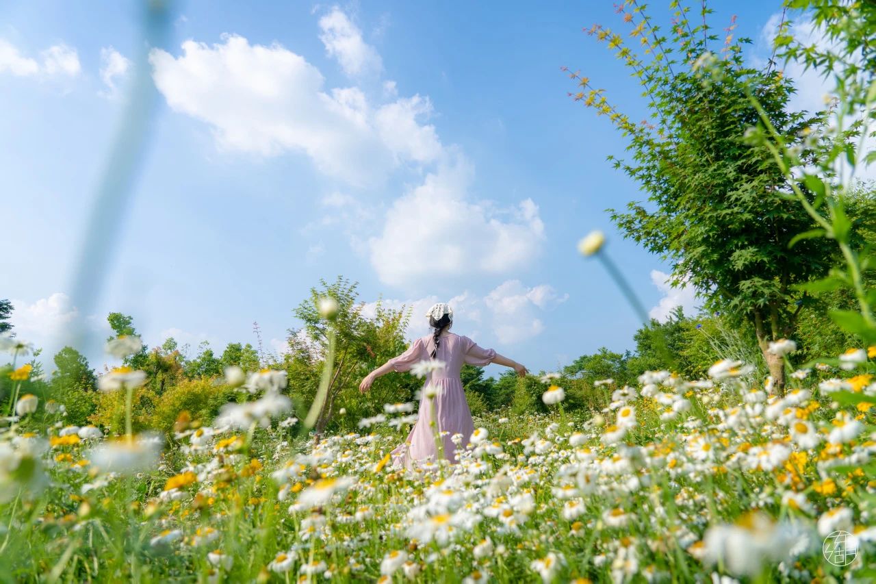 点开，40000㎡东湖花海和夏天朝你涌来