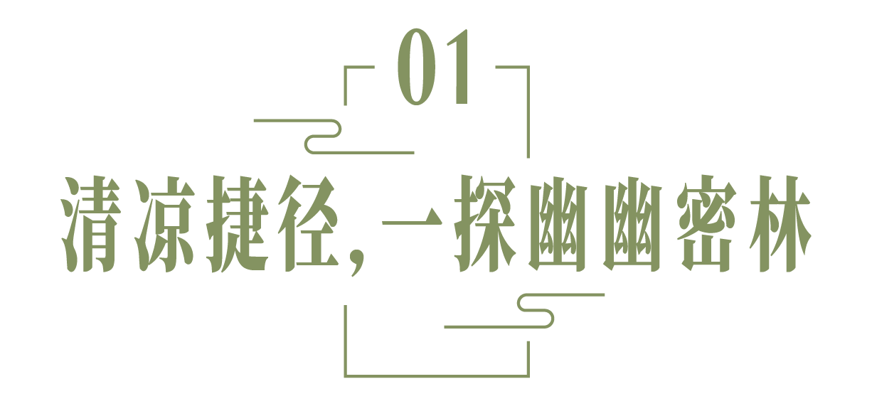 微信图片_20240528145039.png