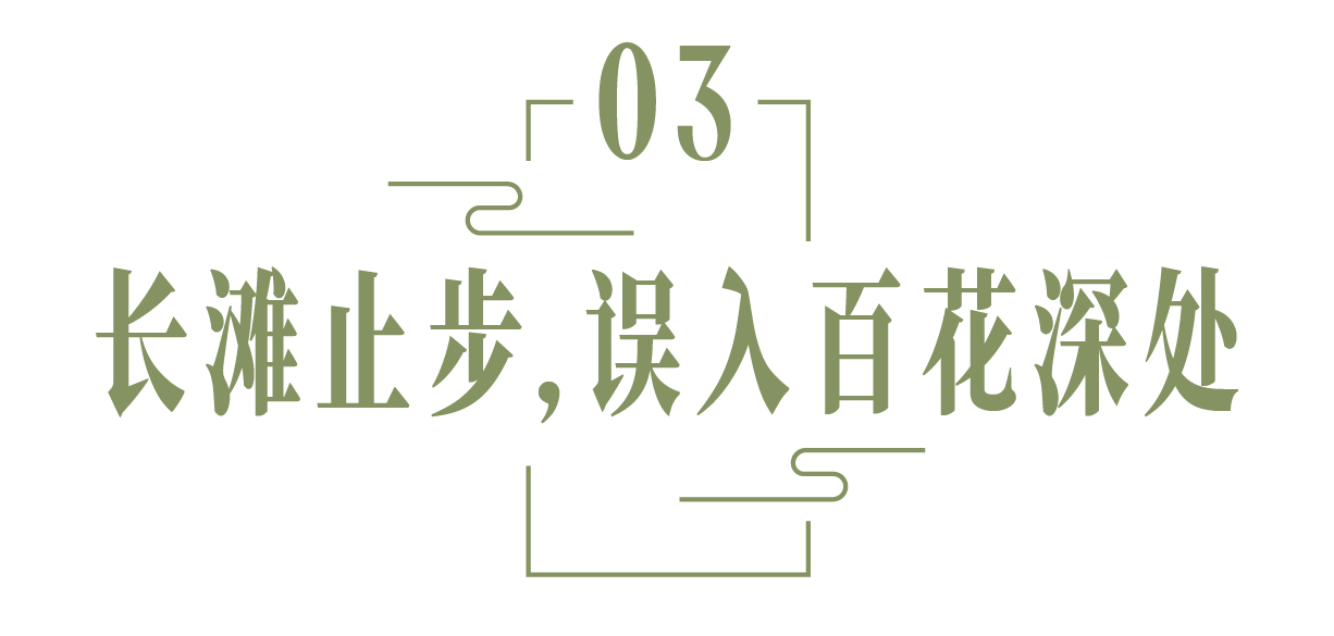 微信图片_20240528145103.png