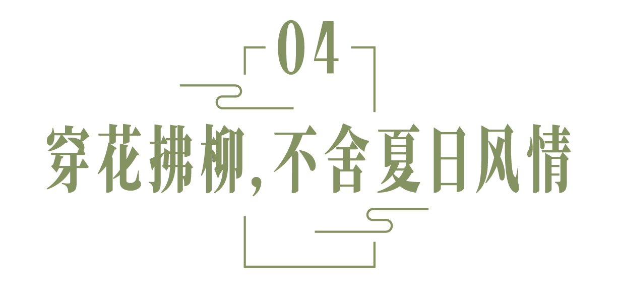 微信图片_20240528145116.png