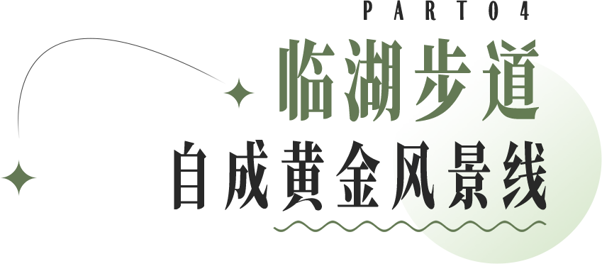 微信图片_20240903103055.png